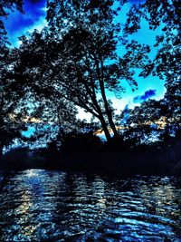 Reflection of trees in calm lake