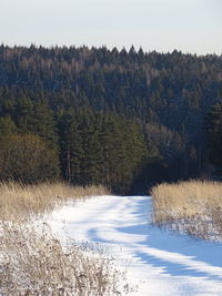 Scenic view of snow covered land against sky