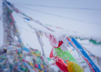 Close-up of multi colored flags hanging against blurred background