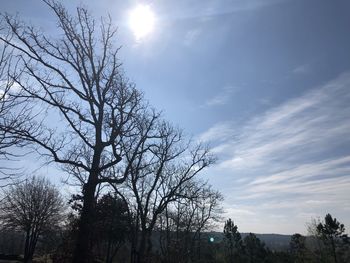 Low angle view of bare trees against sky