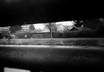 Trees by building against sky