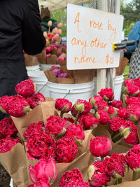 Lincoln park farmers market flower vendor in chicago 