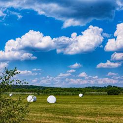 Scenic view of field against sky