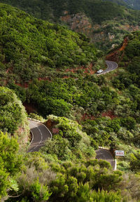 High angle view of trees