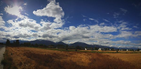 Scenic view of field against sky