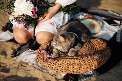 Midsection of woman with dog sleeping