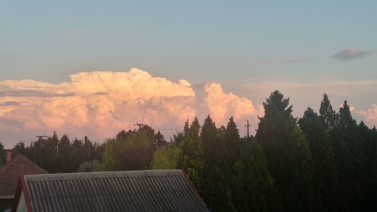 PANORAMIC VIEW OF TREES AGAINST SKY AT SUNSET