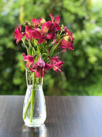 Close-up of red flower vase on table