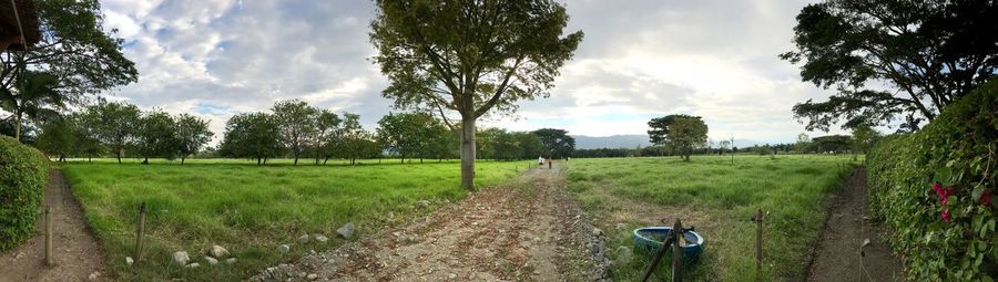 Panoramic view of agricultural field against sky