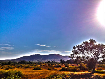 Scenic view of landscape against sky