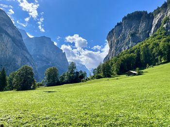 Scenic view of agricultural field against sky