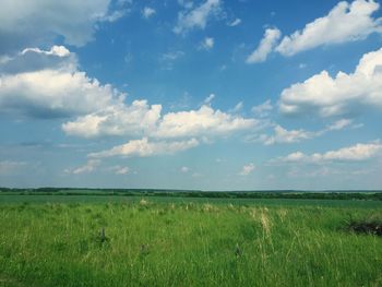 Scenic view of field against sky