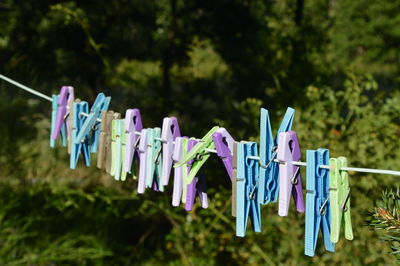 clothesline