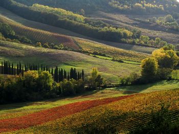 Scenic view of field against sky at sunset