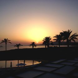 Silhouette of palm trees at sunset