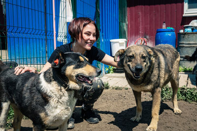 Dog at the shelter. animal shelter volunteer takes care of dogs. 