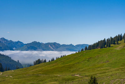 Scenic view of landscape against clear blue sky