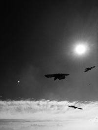 Low angle view of birds flying against sky