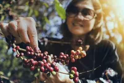 Smiling woman finger reaching towards raw coffee beans on tree 