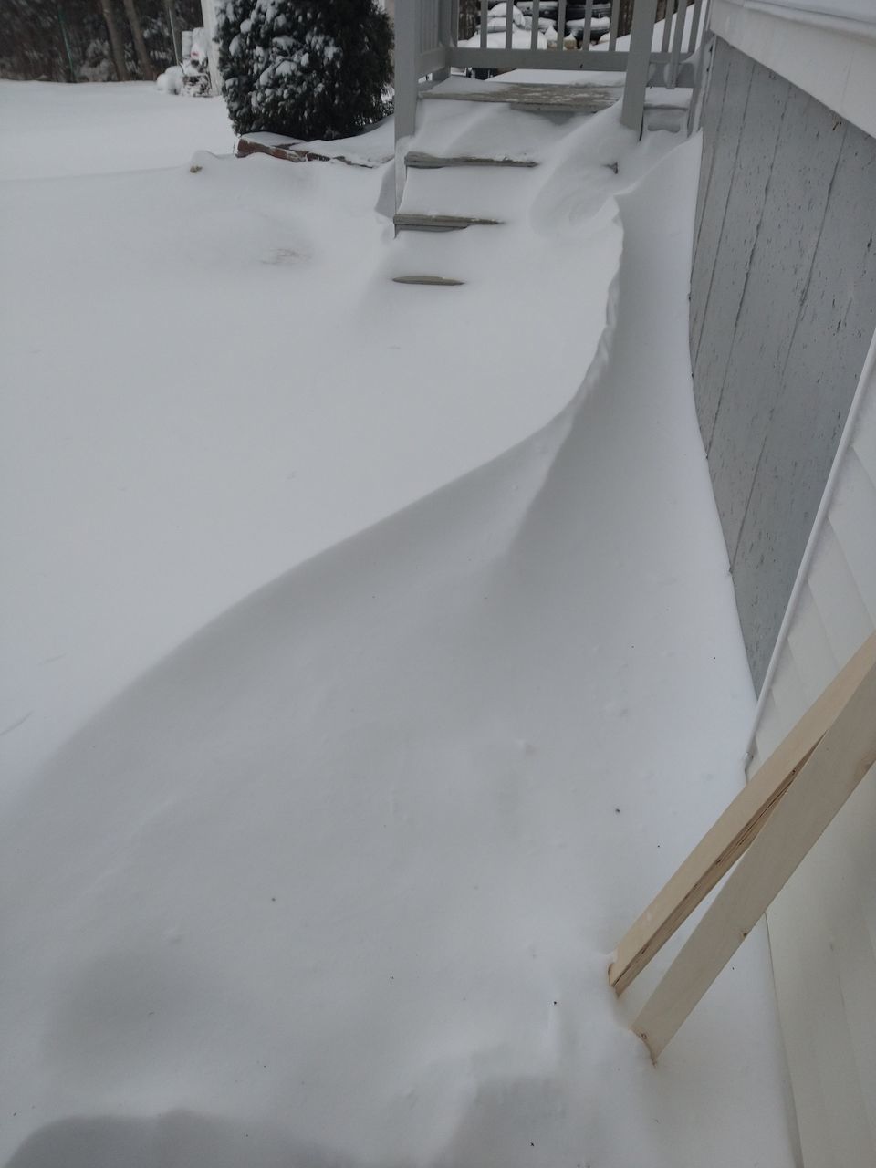 white, snow, floor, cold temperature, winter, nature, no people, day, flooring, architecture, wood, high angle view, outdoors, built structure, plant, frozen