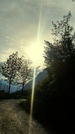 Sunlight streaming through trees against sky during sunset