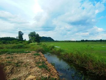 Scenic view of field against sky