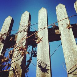 Low angle view of built structure