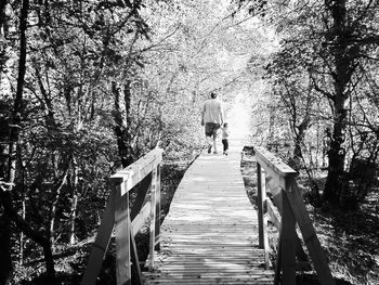 Man on woman amidst trees against sky