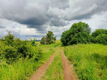 Sunny landscape with a country road in a field against a cloudy sky