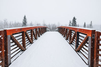 Snowy bridge leading to a forest on a wintry day