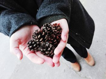 Low section of woman holding pine cones on road