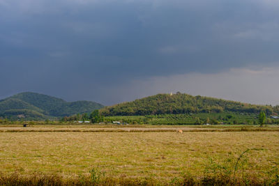 Scenic view of field against sky
