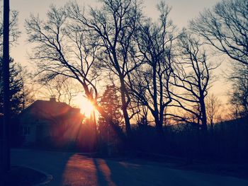 Sunlight streaming through bare trees against sky during sunset