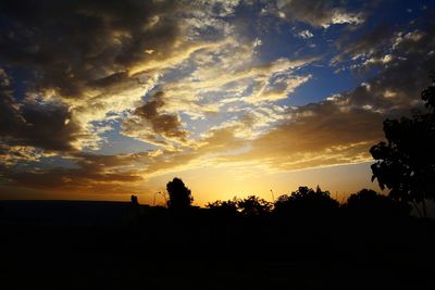 Silhouette of trees at sunset