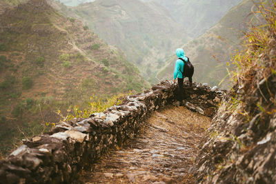 Rear view of man walking on mountain in forest