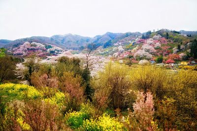 Scenic view of mountains against clear sky