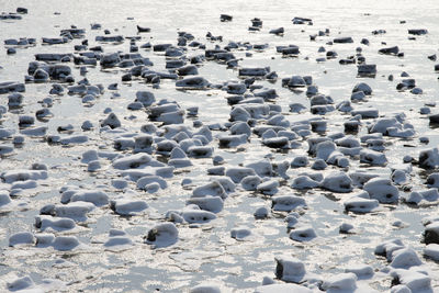 Scenic view of frozen beach