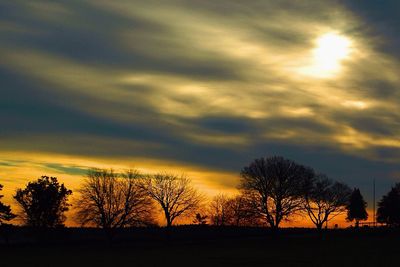 Silhouette of trees at sunset