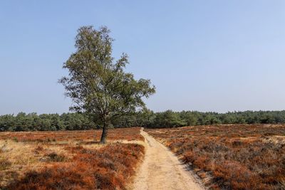 Dirt road along trees on field against clear sky