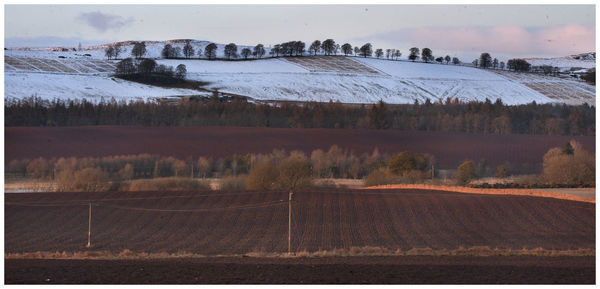 Scenic view of field against sky