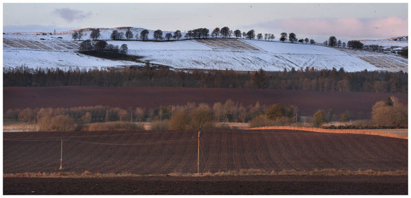 Scenic view of field in kirriemuir