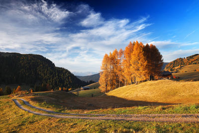 Scenic view of field against sky during autumn