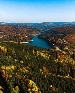 Green trees on mountain near lake