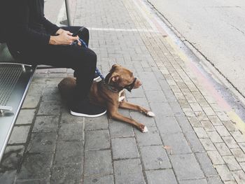 Low section of man with dog sitting on sidewalk