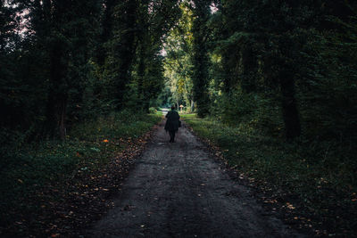 Rear view of a woman walking on road in forest