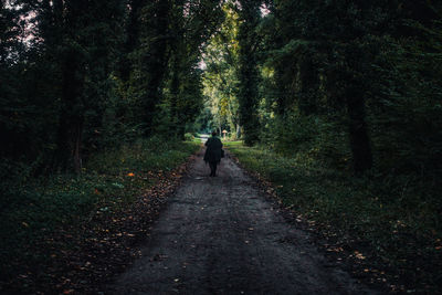 Rear view of senior woman walking on road in forest