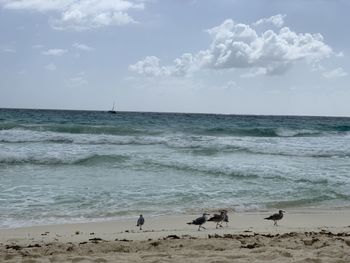 Scenic view of beach against sky