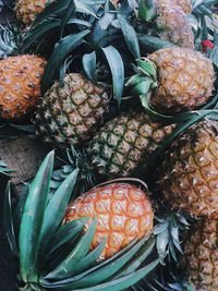 Close-up of honey-sweet pineapple for sale at market stall