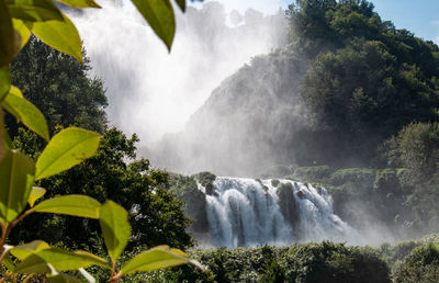 Scenic view of waterfall in forest