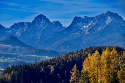 Scenic view of trees and snowcapped mountains against sky in autumn